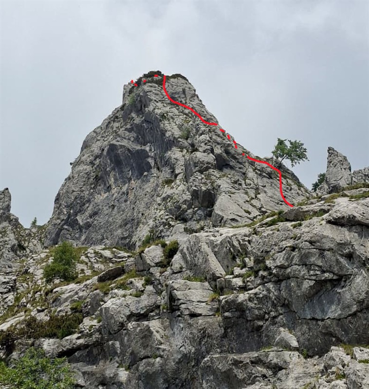 ScuolaGDT