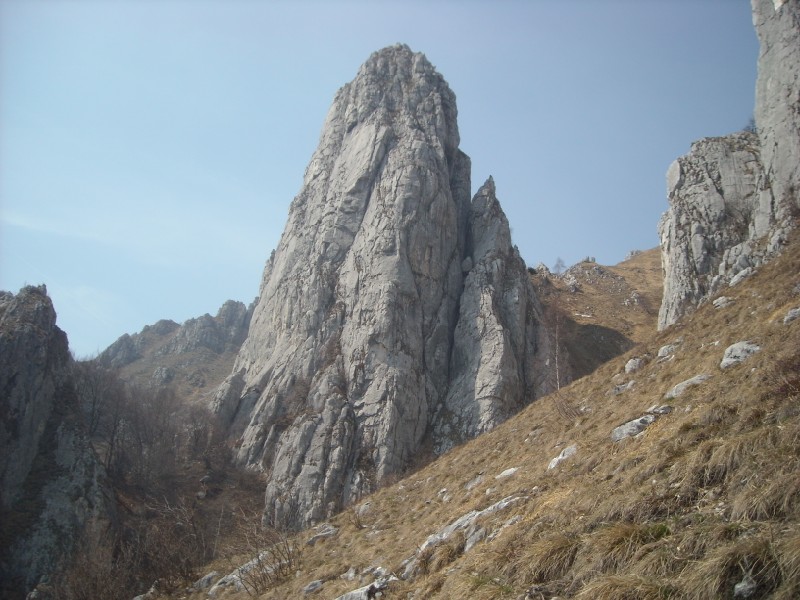 ScuolaGDT