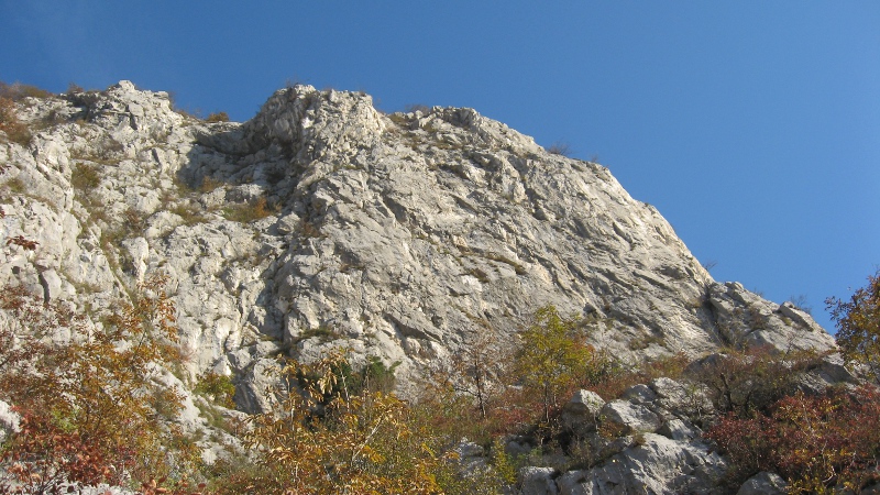 ScuolaGDT