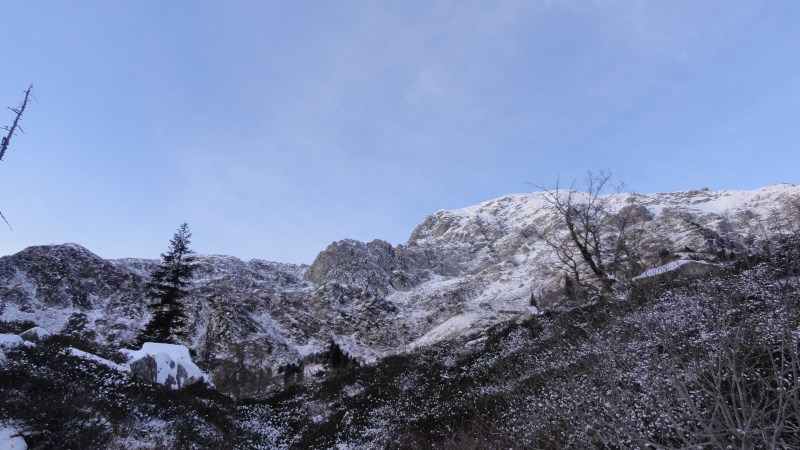 ScuolaGDT