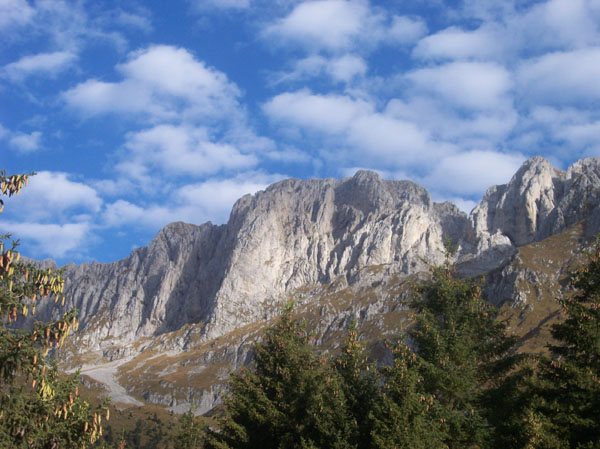 ScuolaGDT
