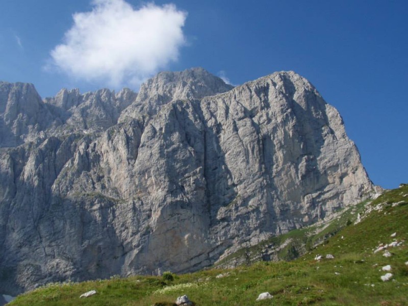 ScuolaGDT
