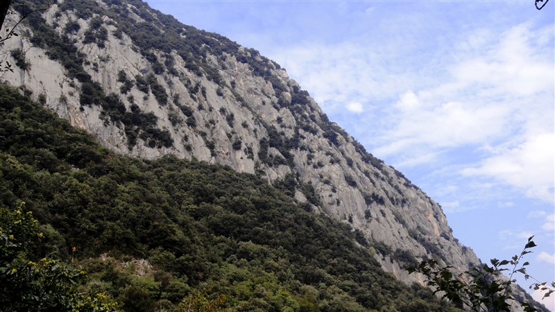 ScuolaGDT
