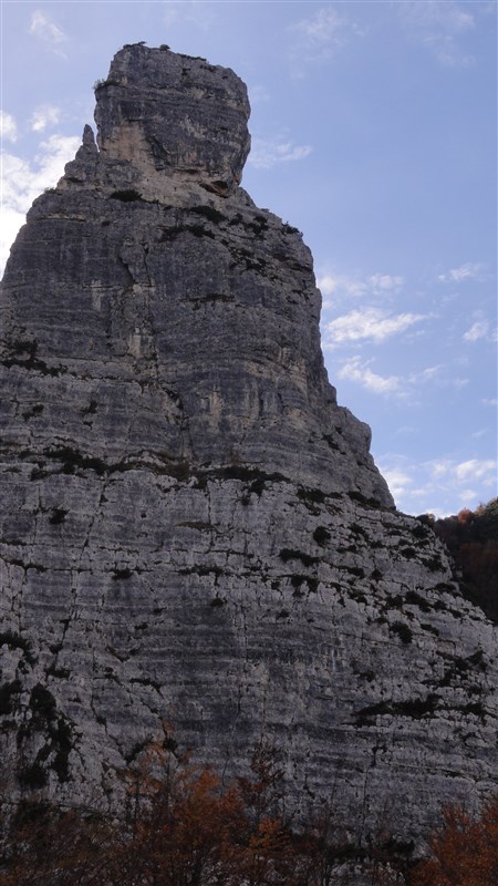 ScuolaGDT