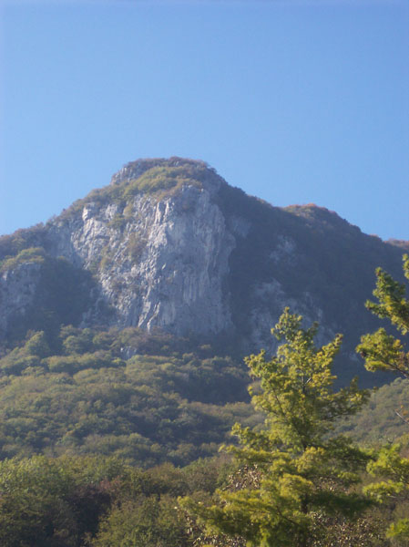 ScuolaGDT