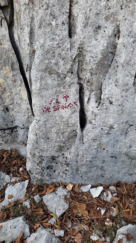 ScuolaGDT