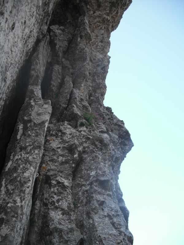 ScuolaGDT