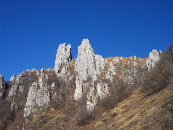 ScuolaGDT