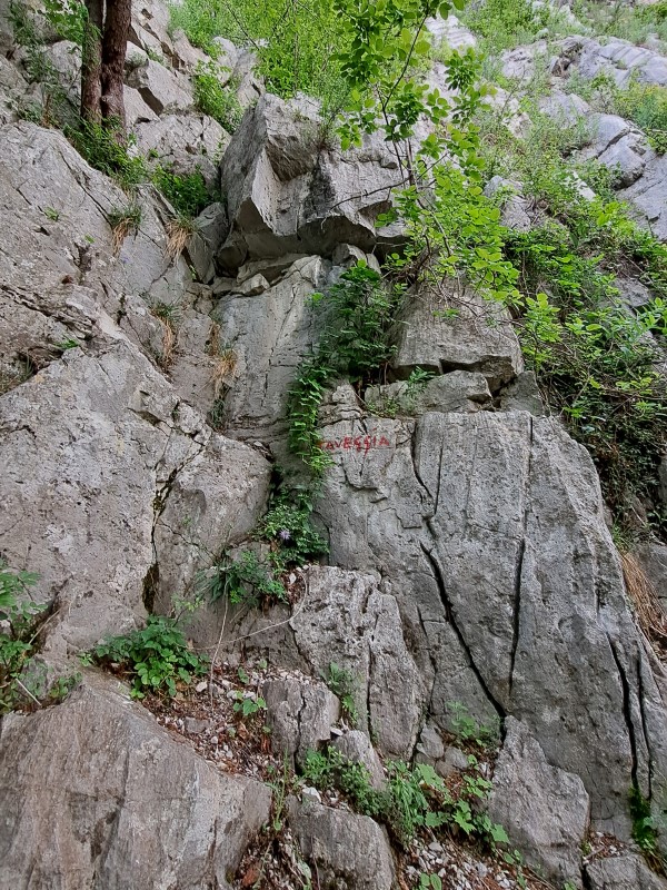 ScuolaGDT